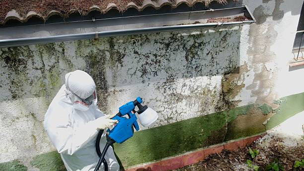 Top rated local Mold Inspection And Testing specialists in Convent Station, NJ
